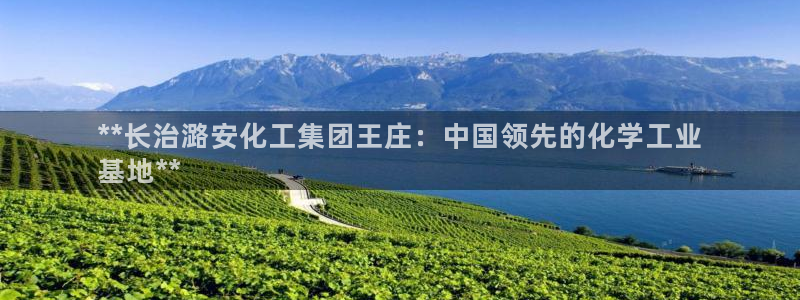 球盟会下款快吗：**长治潞安化工集团王庄：中国领先的化学工业