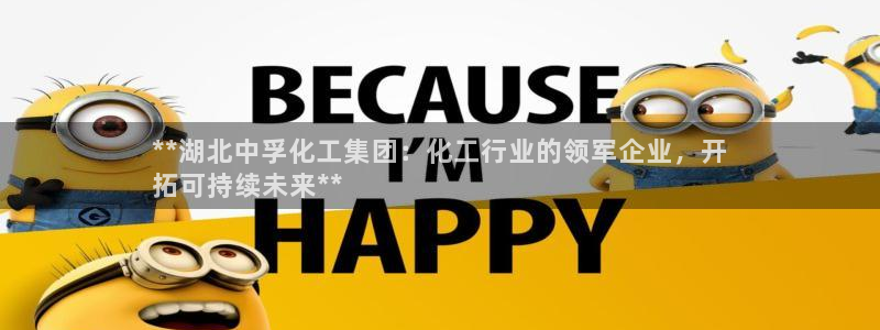 球盟会登录入口：**湖北中孚化工集团：化工行业的领军企业，开