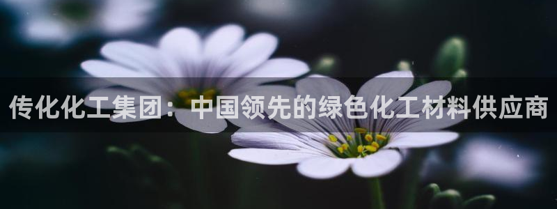 球盟会网页登录：传化化工集团：中国领先的绿色化工材料供应商