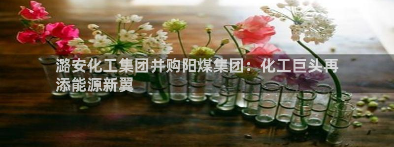球盟会(中国)官方网站：潞安化工集团并购阳煤集团：化工巨头再