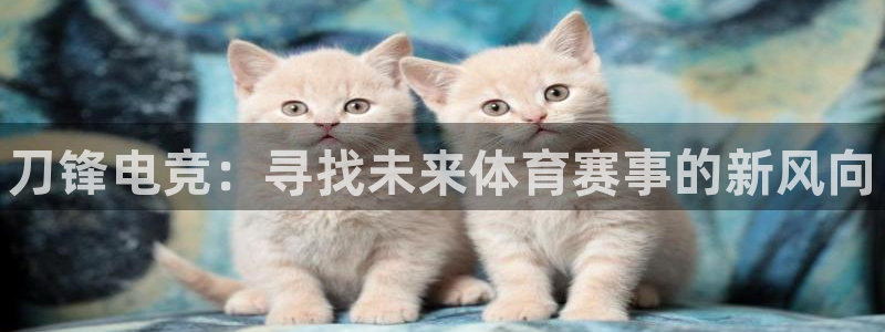 乐竞电竞锁定金额